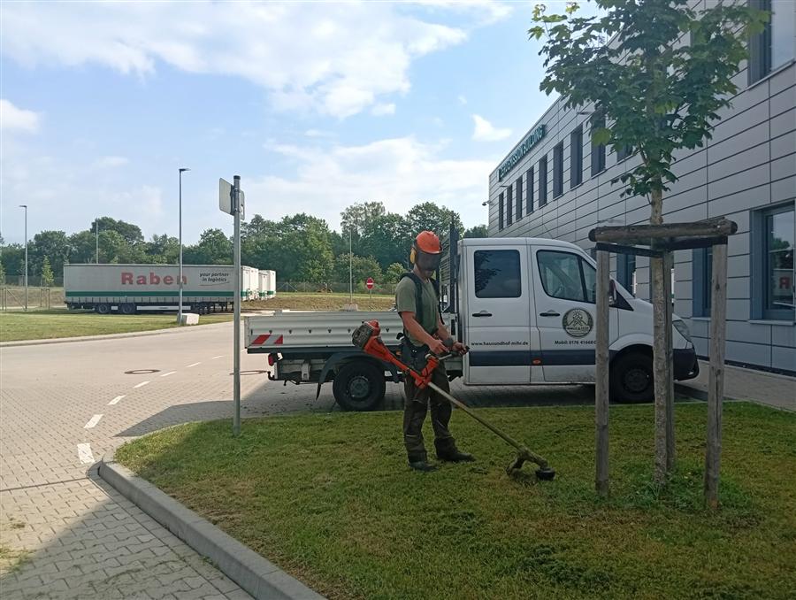 Gartenpflege mit Freischneider